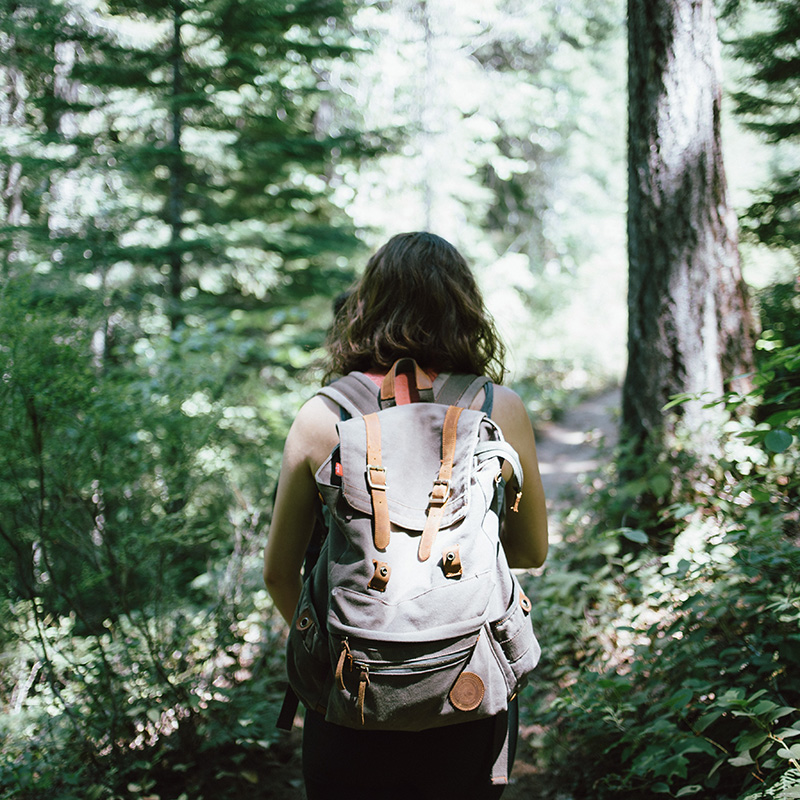 hiking in the woods